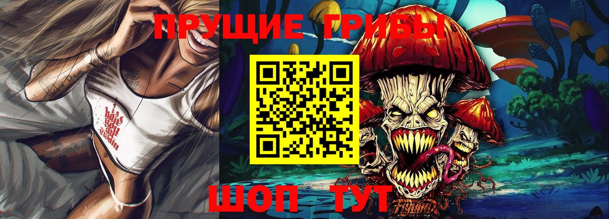 Тутаев  Галлюциногенные грибы Psilocybe  продажа наркотиков  Вход с VPN 